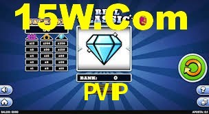 PVIP,PVIP.Com